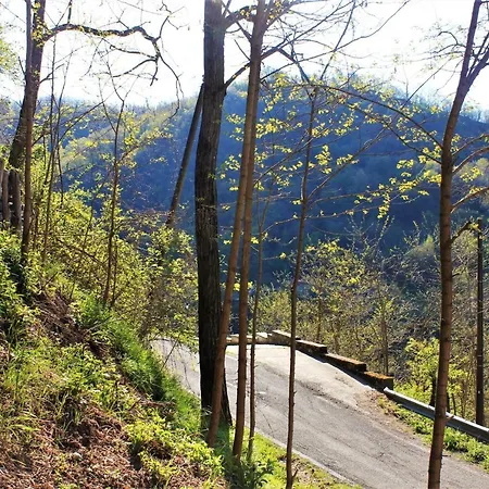 Apartman Lovely 1-bed In Borgo Val di Taro